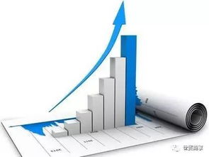 網站不優化，信息咨詢服務將面臨的挑戰與機遇